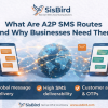 A2P SMS routes enabling global business messaging and OTP delivery through telecom networks